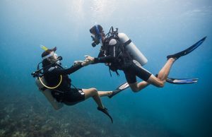 Spots for a Scuba Diving Honeymoon - Underwater Adventures For a Newlywed Couple